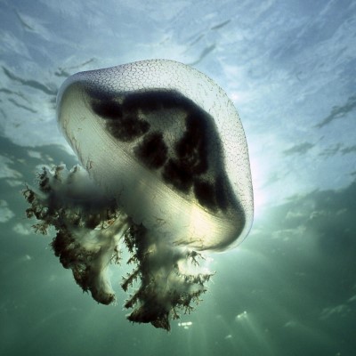 1920 x 1080 HD Wallpapers 1471